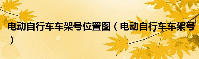 电动自行车车架号(电动自行车车架号位置图)