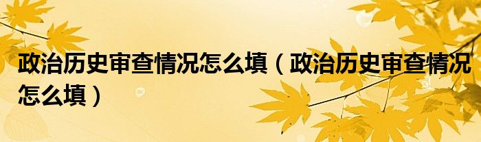 政治历史审查情况怎么填(政治历史审查情况怎么填)