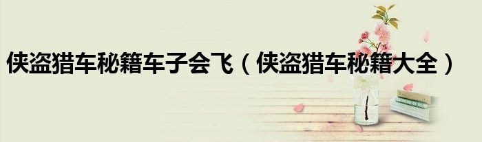 侠盗猎车秘籍大全(侠盗猎车秘籍车子会飞)