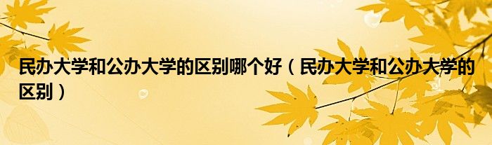 民办大学和公办大学的区别(民办大学和公办大学的区别哪个好)