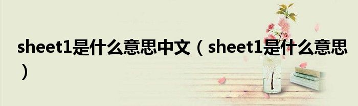 sheet1是什么意思(sheet1是什么意思中文)