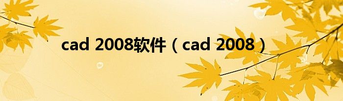 cad 2008(cad 2008软件)