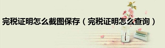 完税证明怎么查询(完税证明怎么截图保存)