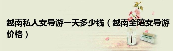 越南全陪女导游价格(越南私人女导游一天多少钱)
