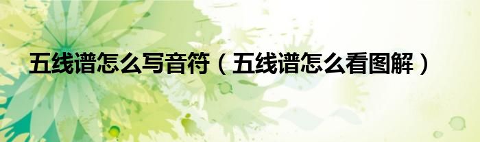 五线谱怎么看图解(五线谱怎么写音符)