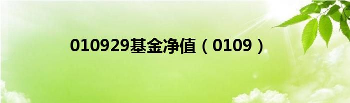 0109(010929基金净值)