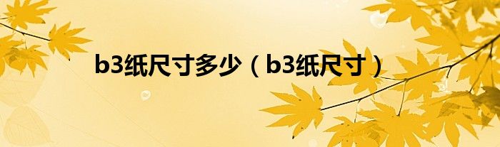 b3纸尺寸(b3纸尺寸多少)