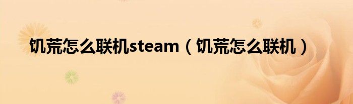 饥荒怎么联机(饥荒怎么联机steam)