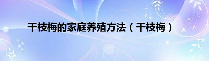干枝梅(干枝梅的家庭养殖方法)