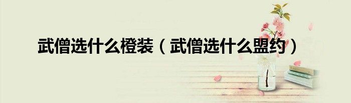 武僧选什么盟约(武僧选什么橙装)