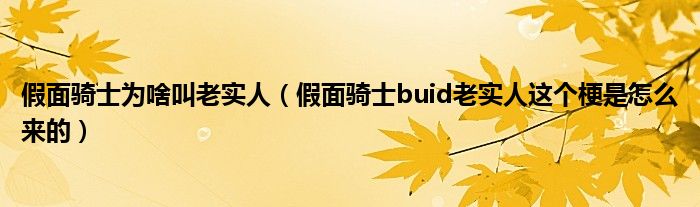 假面骑士buid老实人这个梗是怎么来的(假面骑士为啥叫老实人)