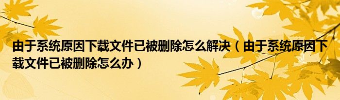 由于系统原因下载文件已被删除怎么办(由于系统原因下载文件已被删除怎么解决)
