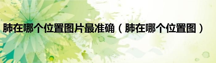 肺在哪个位置图(肺在哪个位置图片最准确)