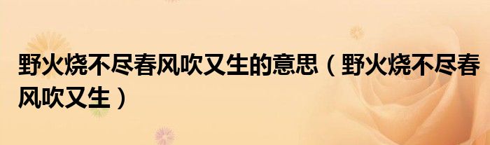 野火烧不尽春风吹又生(野火烧不尽春风吹又生的意思)