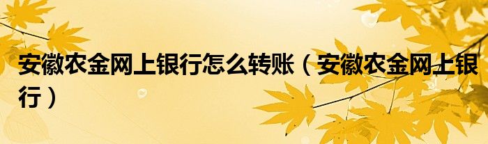 安徽农金网上银行(安徽农金网上银行怎么转账)
