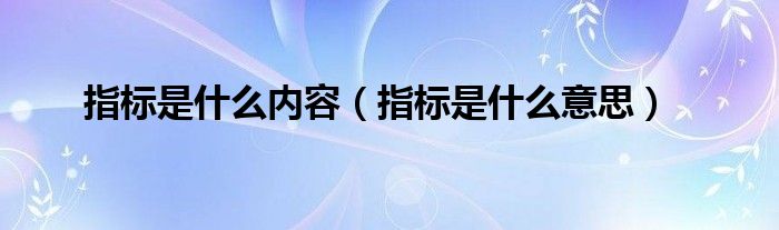 指标是什么意思(指标是什么内容)
