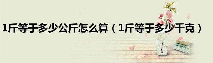 1斤等于多少千克(1斤等于多少公斤怎么算)