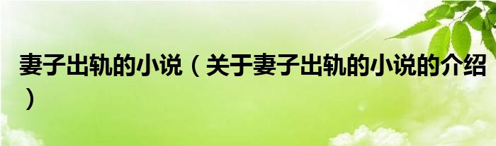关于妻子出轨的小说的介绍(妻子出轨的小说)