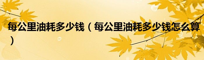 每公里油耗多少钱怎么算(每公里油耗多少钱)