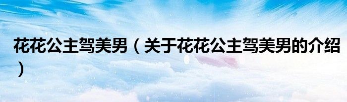 关于花花公主驾美男的介绍(花花公主驾美男)