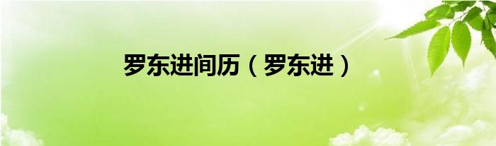罗东进(罗东进间历)