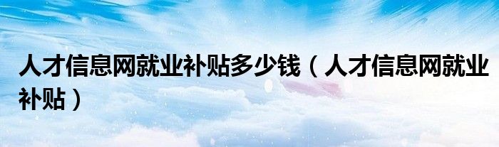 人才信息网就业补贴(人才信息网就业补贴多少钱)