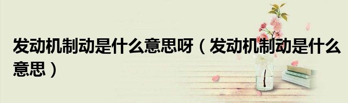 发动机制动是什么意思(发动机制动是什么意思呀)