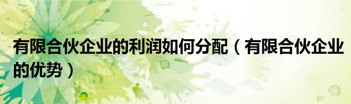 有限合伙企业的优势(有限合伙企业的利润如何分配)