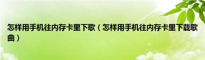 怎样用手机往内存卡里下载歌曲(怎样用手机往内存卡里下歌)