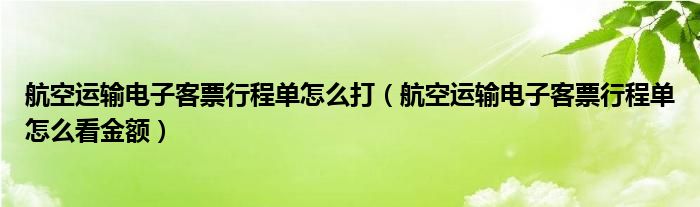 航空运输电子客票行程单怎么看金额(航空运输电子客票行程单怎么打)