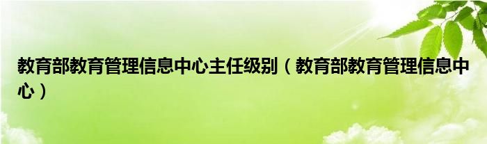 教育部教育管理信息中心(教育部教育管理信息中心主任级别)