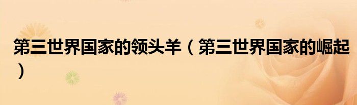 第三世界国家的崛起(第三世界国家的领头羊)