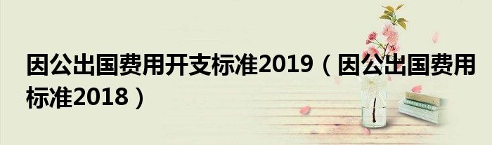 因公出国费用标准2018(因公出国费用开支标准2019)