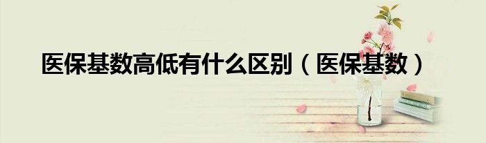 医保基数(医保基数高低有什么区别)