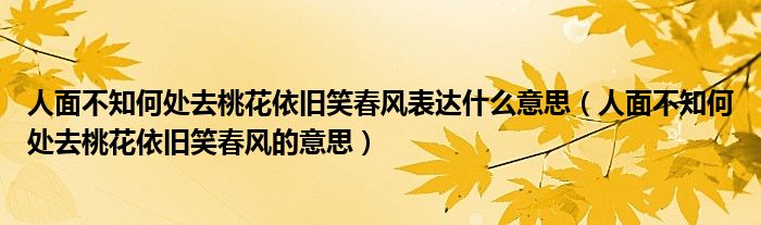 人面不知何处去桃花依旧笑春风的意思(人面不知何处去桃花依旧笑春风表达什么意思)
