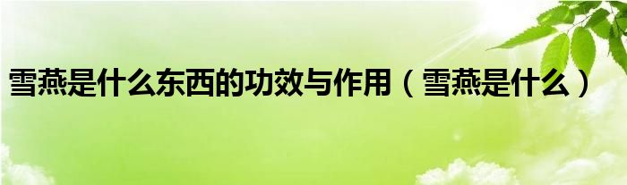 雪燕是什么(雪燕是什么东西的功效与作用)