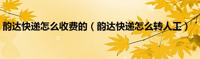 韵达快递怎么转人工(韵达快递怎么收费的)