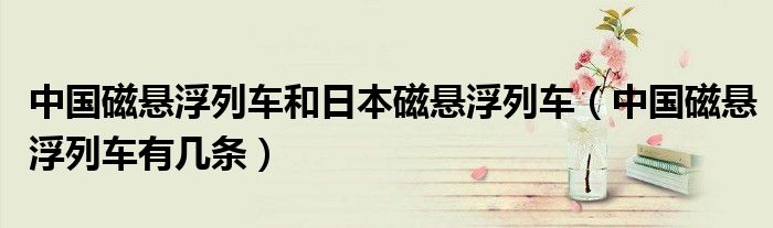 中国磁悬浮列车有几条(中国磁悬浮列车和日本磁悬浮列车)