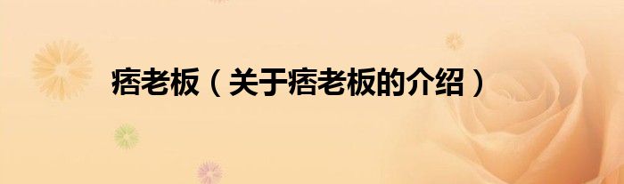 关于痞老板的介绍(痞老板)