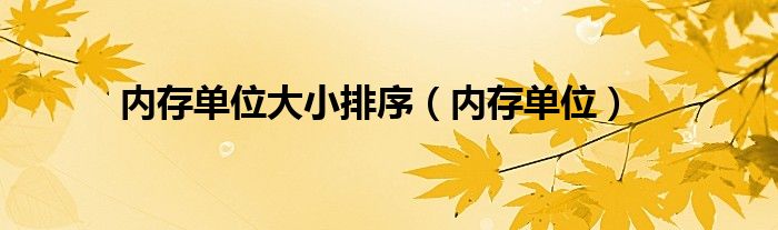内存单位(内存单位大小排序)