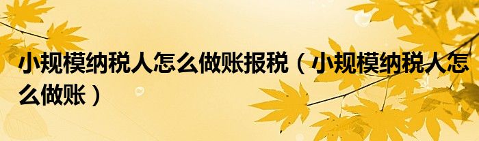 小规模纳税人怎么做账(小规模纳税人怎么做账报税)