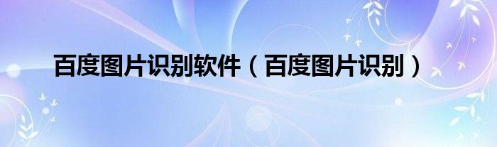 百度图片识别(百度图片识别软件)