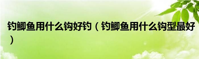 钓鲫鱼用什么钩型最好(钓鲫鱼用什么钩好钓)