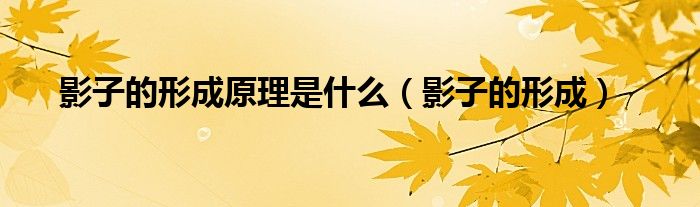 影子的形成(影子的形成原理是什么)