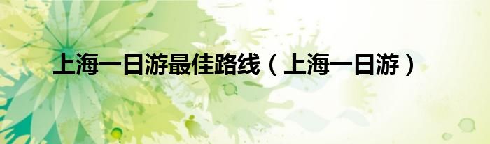上海一日游(上海一日游最佳路线)