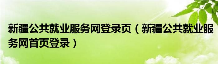 新疆公共就业服务网首页登录(新疆公共就业服务网登录页)