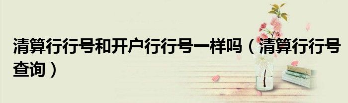 清算行行号查询(清算行行号和开户行行号一样吗)