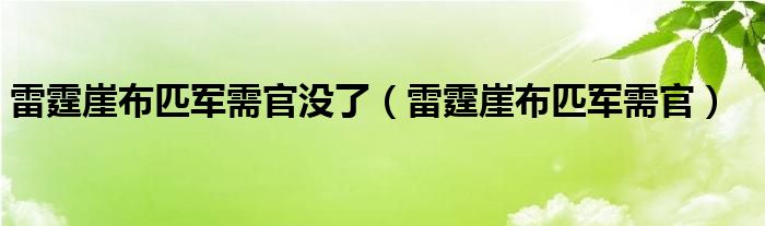 雷霆崖布匹军需官(雷霆崖布匹军需官没了)