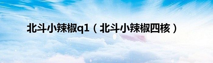北斗小辣椒四核(北斗小辣椒q1)