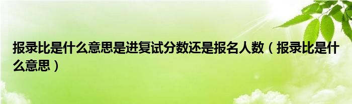 报录比是什么意思(报录比是什么意思是进复试分数还是报名人数)